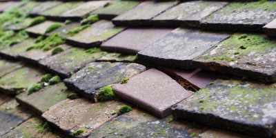 Falfield roof repair costs
